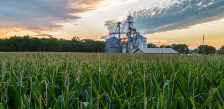 As Agriculture Goes, So Goes Iowa: The Full Footprint of the State’s Farm Economy